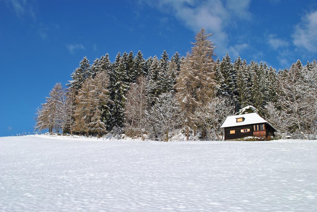 Schlintl-Hof Villa Liebenfels Szoba fotó
