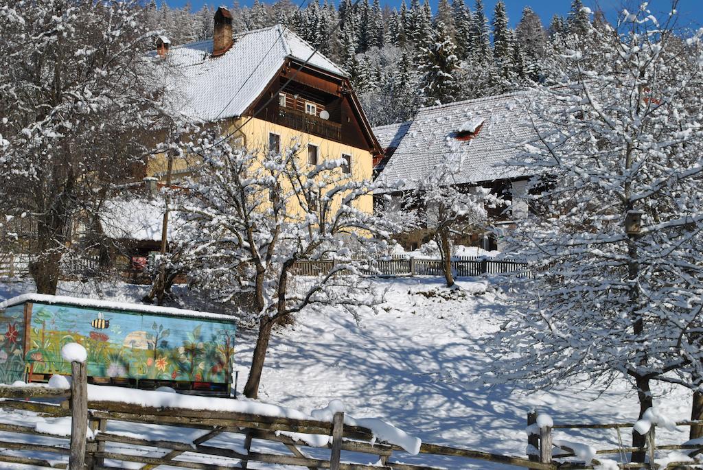 Schlintl-Hof Villa Liebenfels Kültér fotó