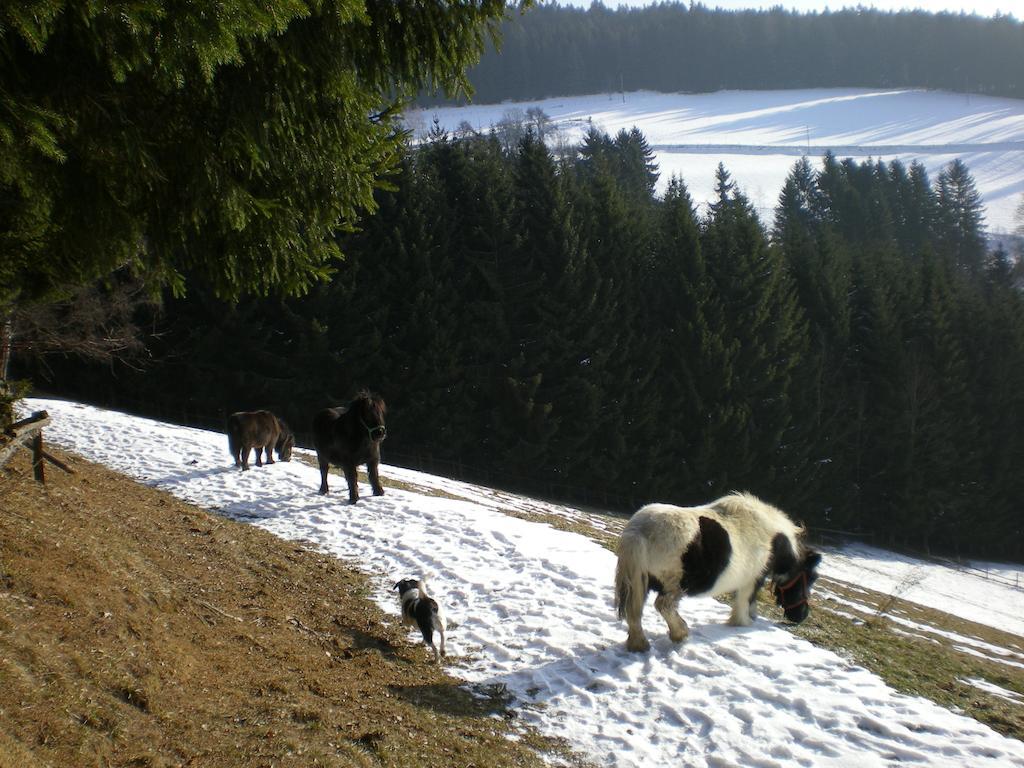Schlintl-Hof Villa Liebenfels Kültér fotó