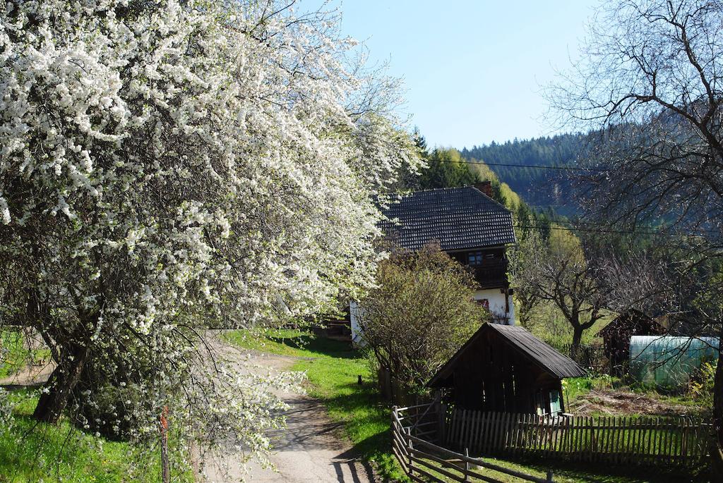 Schlintl-Hof Villa Liebenfels Kültér fotó