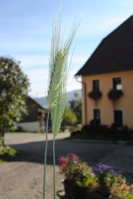 Schlintl-Hof Villa Liebenfels Kültér fotó