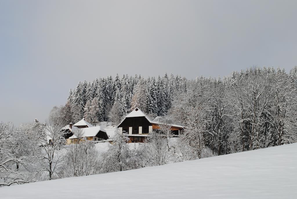 Schlintl-Hof Villa Liebenfels Kültér fotó